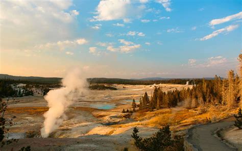 yellowstone national park webcam